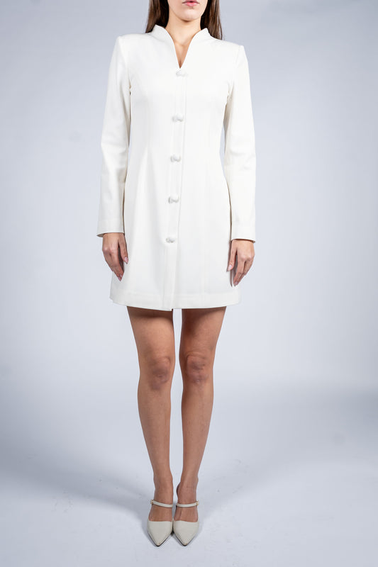 Stand Collar Single Breasted Dress With Long Sleeves