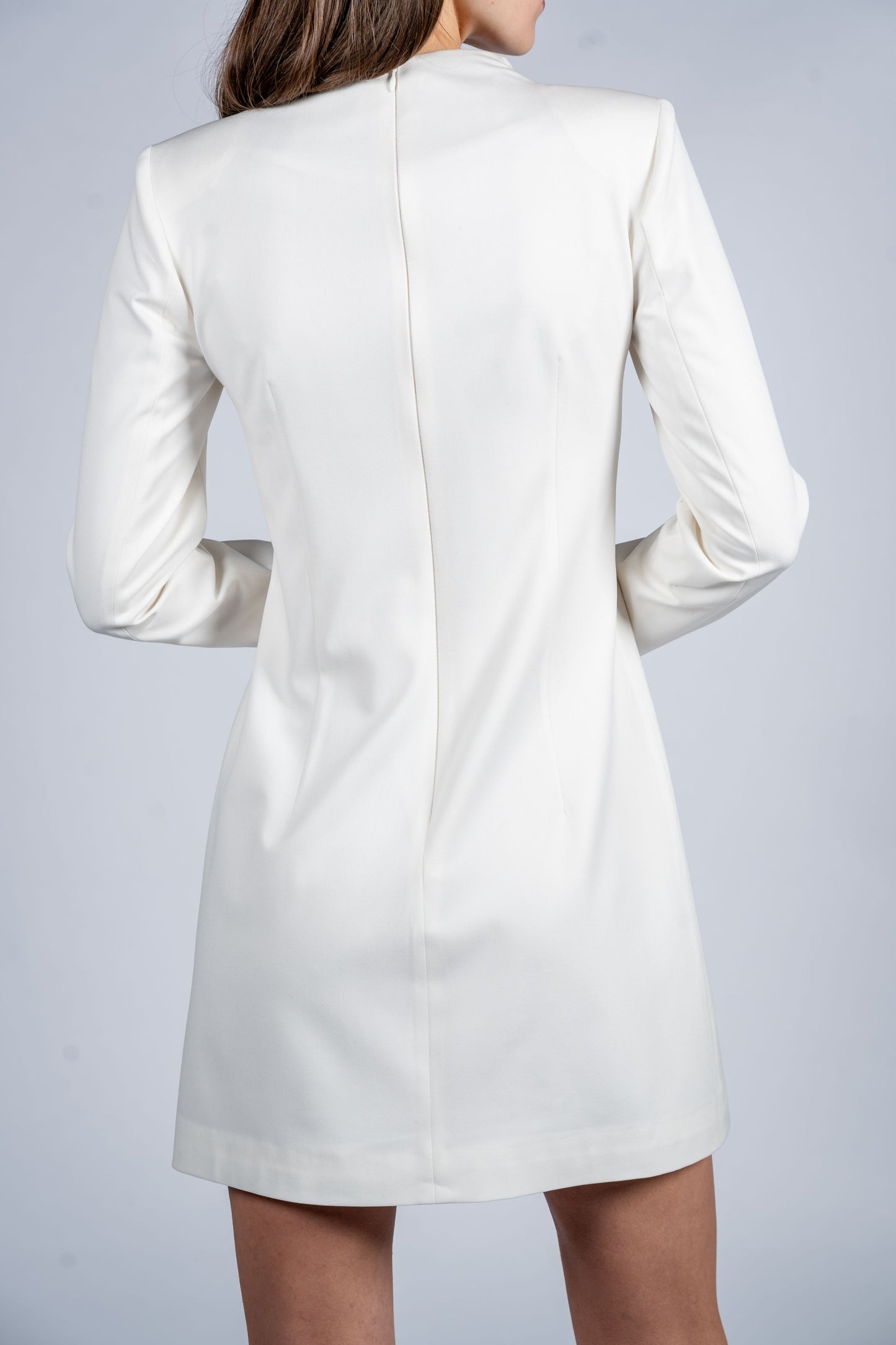 Stand Collar Single Breasted Dress With Long Sleeves