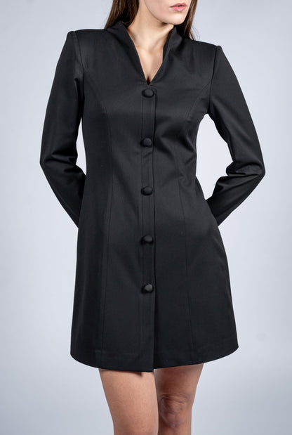 Stand Collar Single Breasted Dress With Long Sleeves