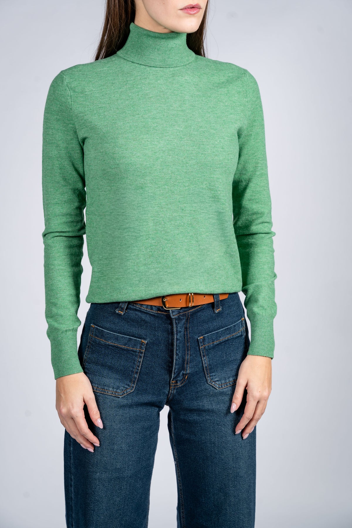 Women Wool Blend Turtle Neck