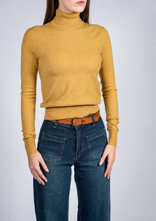 Women Wool Blend Turtle Neck