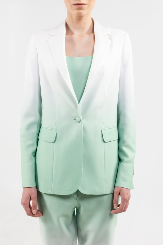 Single Breasted Blazer Notch Lapel
