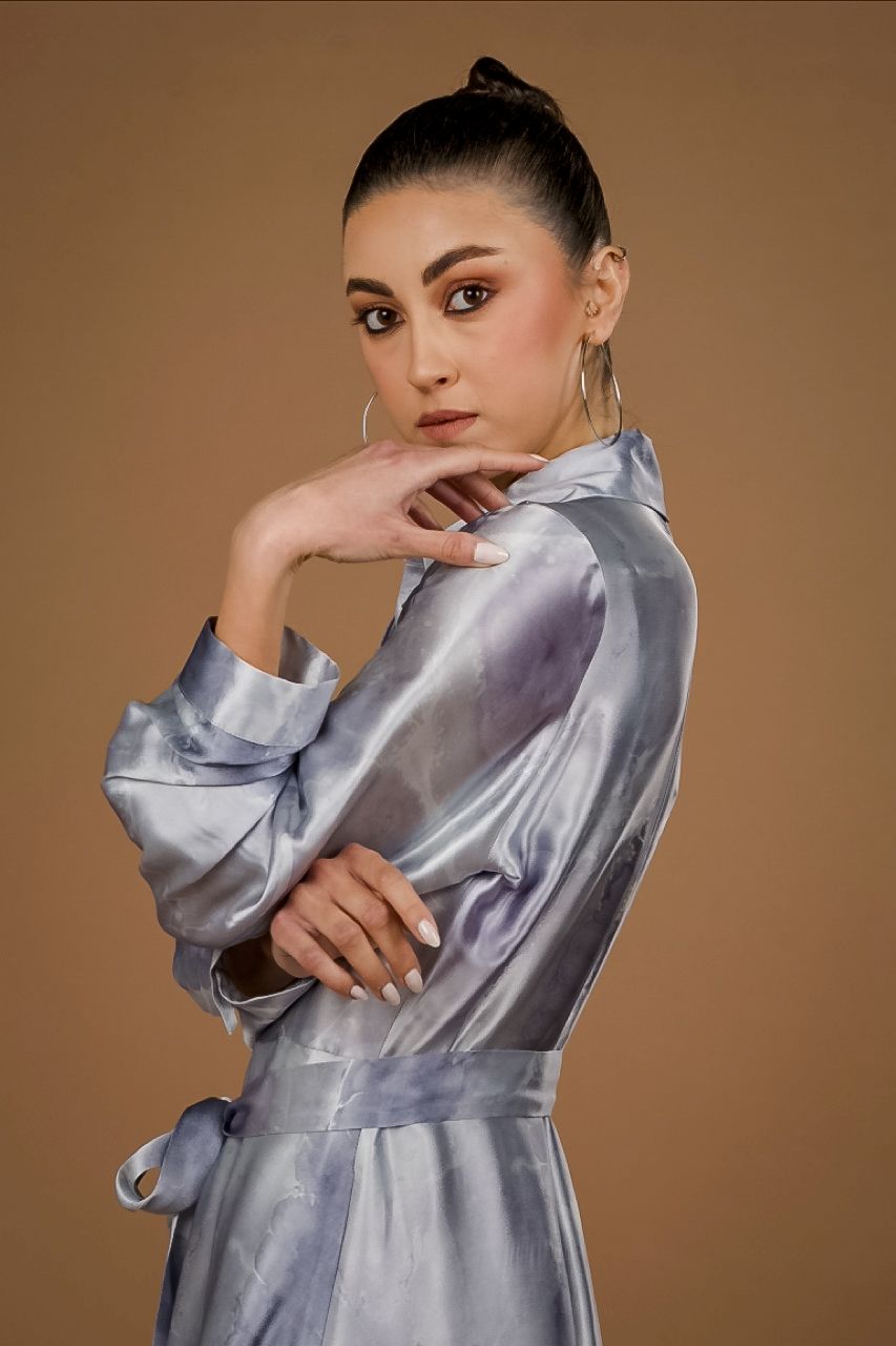 Long Sleeves Long Dress