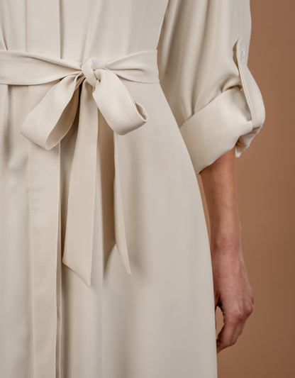 Long Sleeves Long Dress